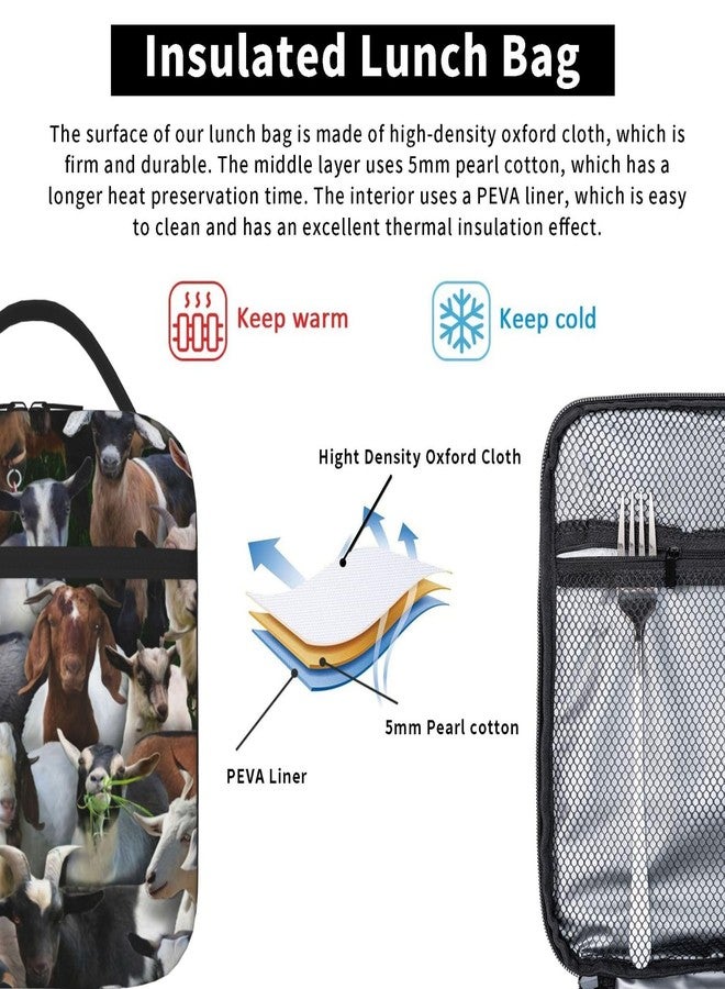 ACDRUING Farm Animals Goats Leakproof Lunch Bag Large Capacity Lunchbox Insulated Reusable Lunch Tote Bags Cooler Lunch Container For Work/Office/Picnic/Travel - Image 3